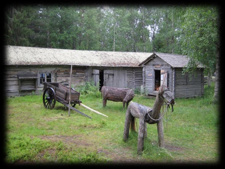 1900-luvun alussa lehmiä oli parhaissa kainuulaisissa talossa parikymmentä, tavallisesti kuitenkin vain 3-10 lehmää. Lehmien lisäksi saattoi olla muutama vasikka, hieho ja sonni.
