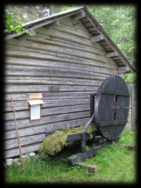 koneen on lahjoittanut Toivo Kovalainen 17.8.2011. (Suomussalmen kotiseutumuseo 2012). Kuva 13. Havunleikkuukone Suomussalmen kotiseutumuseossa. Sikoja oli vain varakkaimmissa kainuulaisissa taloissa.
