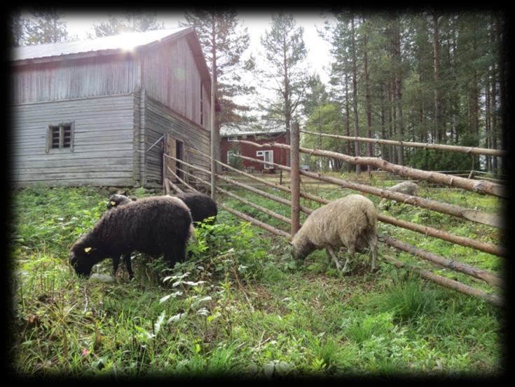sittää kokonaisuudessaan n. 2 ha luonnontilaista niittyä, jota on niitetty tai laidunnettu viimeksi 1950-luvun lopulla. Niitty rajautuu pohjoisesta metsään, joka laskee lammelle päin.