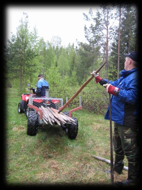 Kuva 30. Mönkijä ja rankakärry ovat oiva apu heinäseipäiden kuljettamisessa. Heinäseipäisiin kierrettiin käsin, ilman porakonetta, kolme eristintä/seiväs.