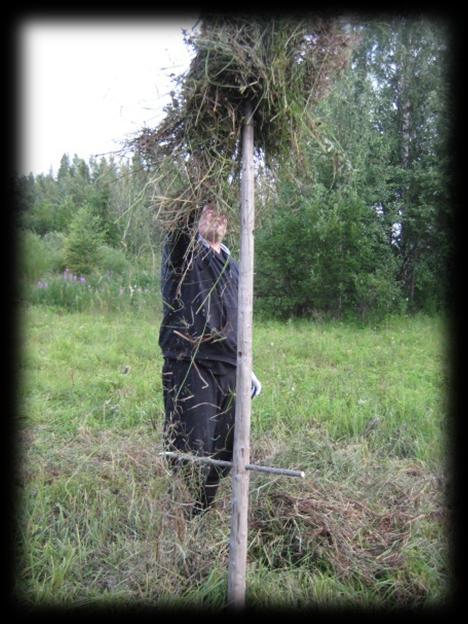 Kuva 54. Heinäseipään tapit tehtiin pajusta. Oikein täytetyssä heinäseipäässä alimmat heinät roikkuvat niin ylhäällä maasta, että ilma pääsee virtaamaan pellon ja heinien välistä.