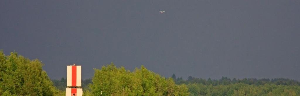 NATURA-ARVIOINTI 19