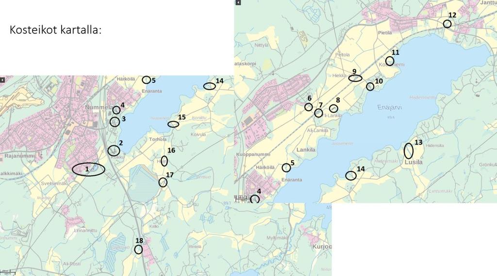 10 15 kappaletta, Sito Oy:n raportin (2013) mukaan alueelta löytyy 12 kosteikkoa tai hulevesiallasta.