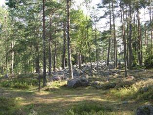 Lammi Ympäristösuunnittelu Enviro Oy luonnos 21.