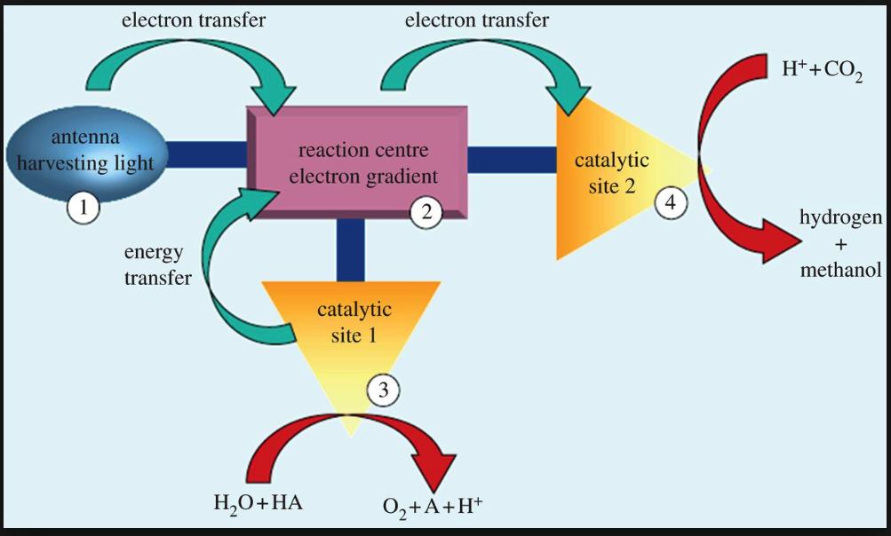Energy transfer Electron transfer Electron