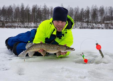 Metsän antimet Metsästä kerätyt ja saalistetut antimet ovat luonnontuotteita villiruokaa.
