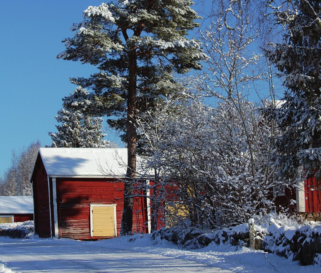 www.mustasaari.