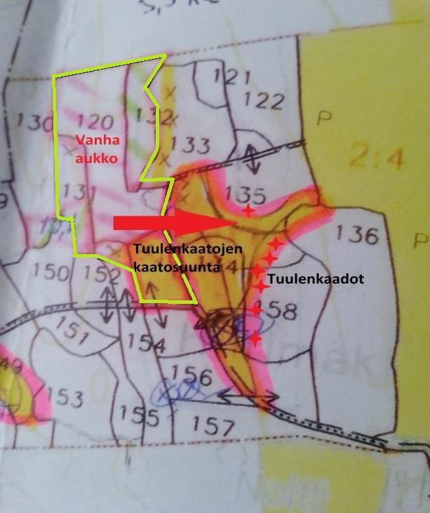 22 kein tuuliolosuhteet huomioiden ja aukon reunametsän tiheys oli suositusten mukainen, joten ne sopeutuivat paremmin muuttuneisiin tuuliolosuhteisiin.