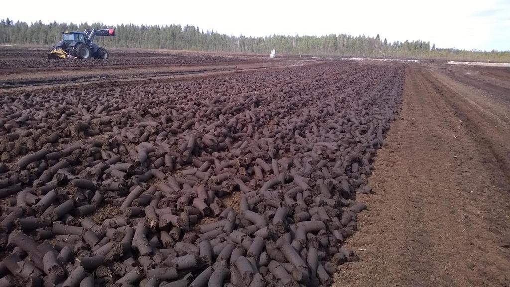 17 Suomme netissä 2017.) Tälle nevalle tehtiin keskisarkakokeilua noin 5 hehtaarin alalle. Keskisarkojen molemmin puolin oli vertailusarkoja.
