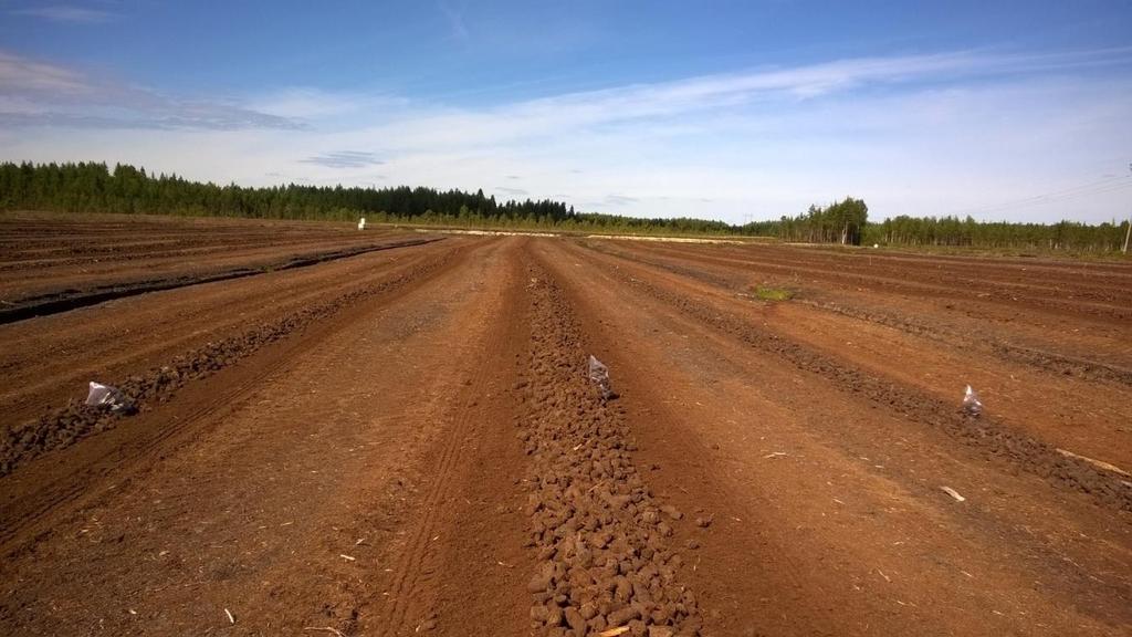 18 Palat ajettiin pikkukarheelle 20.5-22.5.2015 välisenä aikana. Paloja alettiin seulomaan ensimmäisen kerran 23.5-26.5.2015 välisenä aikana ja viimeisen kerran 9.8-10.8.2015 aikana.