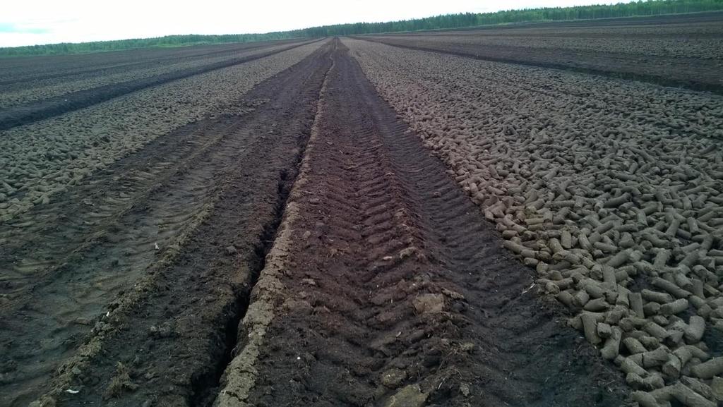 Ensimmäisen kerran paloja käännettiin 16.6.2015.