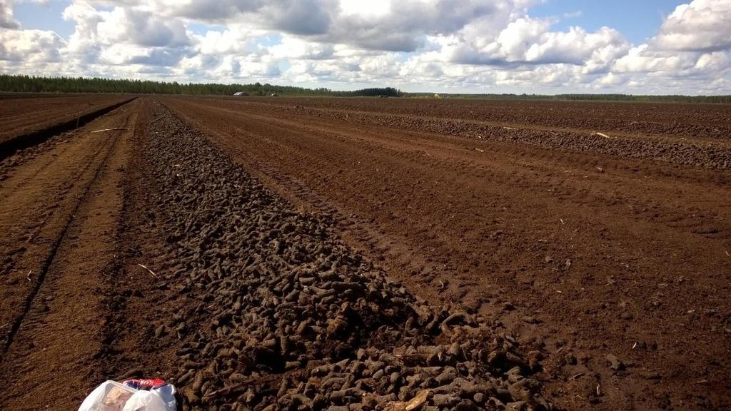 20 10.8.2015. Palat ajettiin aumaan 24.8.2015. Kuivausjakso oli Hormanevalla kokonaisuudessaan 13.5 24.8.2015. Kesän 2015 tuotantokauden aikana saatiin tuotettua yksi sato. 3.4.3 Peuralinnaneva työvaiheet Peuralinnanevan tutkimus kohteella kentälle palat nostettiin 28.