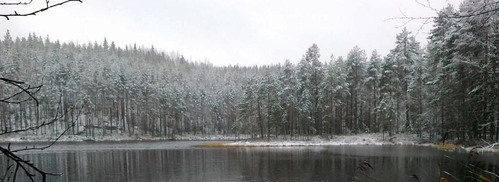 Kärppäjärven Natura 2000