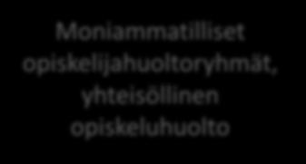 Kolmas nuorisotyö sektori;