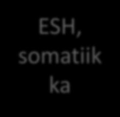 ajat, ESH, ogit lat kuvantaminen,