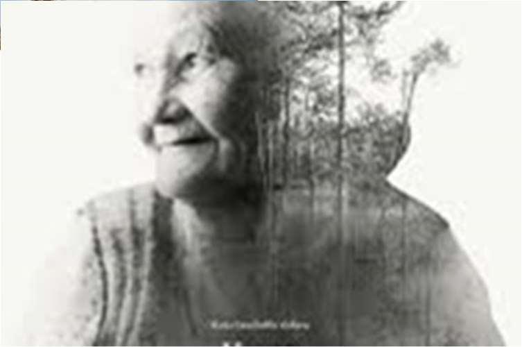 miljoonaa euroa