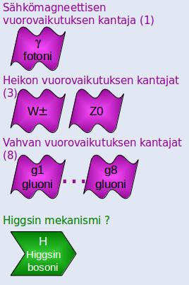 Tutkitaan tunnettuja voimia Sähkömagneettinen vuorovaikutus: radioaallot, infrapunasäteily, näkyvä valo, UV-säteily, röntgensäteily, gammasäteily Heikko