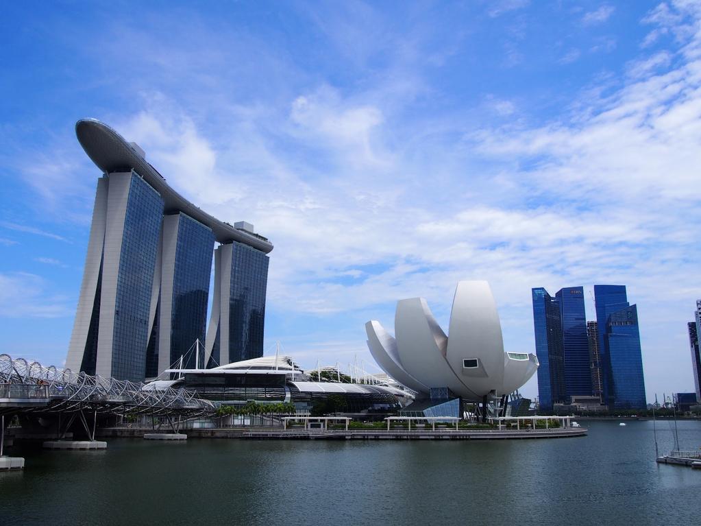 Yleiskuvaus kohteesta Singapore oli helppo kohde aasialaiseen kulttuuriin tutustumiselle. Maa on hyvin turvallinen, siisti ja järjestelmiltään toimiva, mikä teki uuteen maahan sopeutumisesta helppoa.