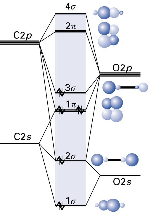 Laskemalla sitovien ja hajoittavien orbitaalien miehitykset voidaan päätellä nettosidoksen olevan kaksoissidos: O=O. Fluorimolekyylin F 2 :.