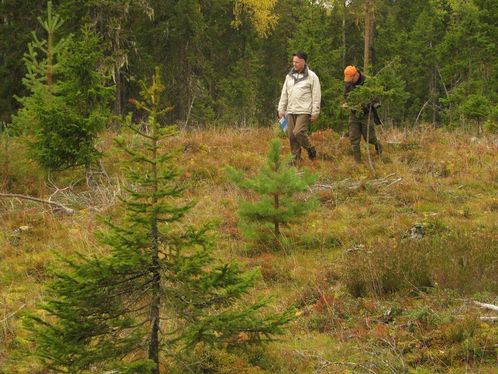 Lisätietoja Sauli Valkonen Luonnonvarakeskus (Luke) PL 18, FI-01301