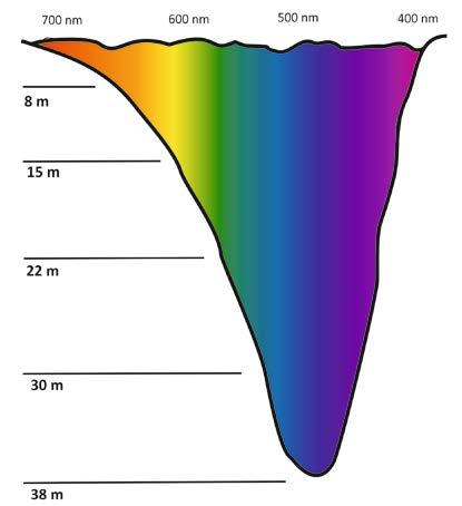 veden rajapinnasta eli vedenpinnasta, vesipatsaasta (suspensio) sekä ilmakehän partikkeleista sirontana (kuva 10). Kuva 10. Sensoriin saapuvan auringonvalon lähteet.