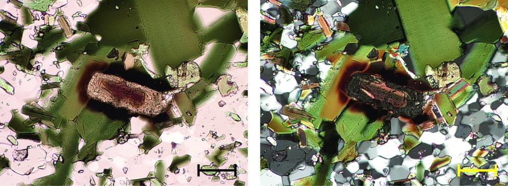 Molemmissa ohuthieissä näkyy tummia pleokroisia kehiä biotiitissa. Mineraali esiintyy biotiitin ja mahdollisen egiriini-augiitin seurassa. Kyseessä on todennäköisesti REEmineraali allaniitti.
