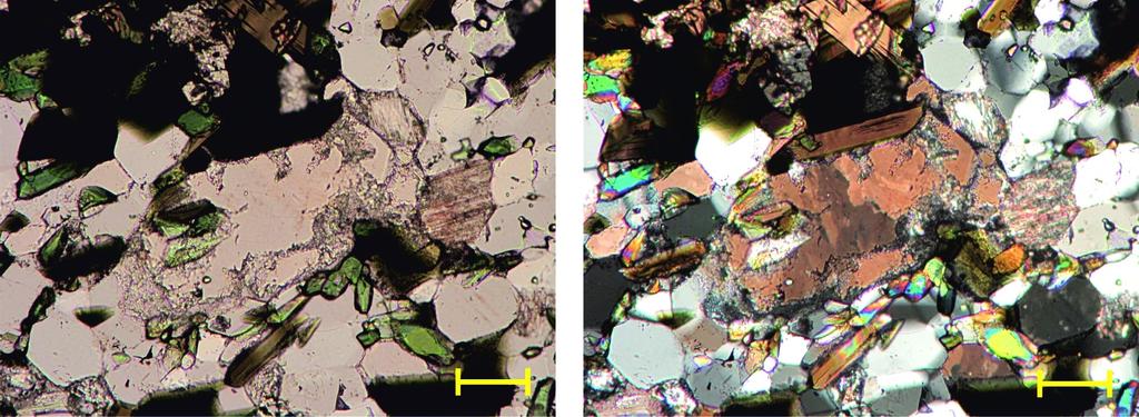 Kuva 35. Mikroskooppikuva zeoliittirakeesta kuvan keskellä. Ympärillä on väritöntä albiittia, vihreää egiriini-augiittia sekä tummaa biotiittia.