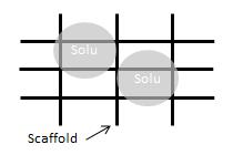 14 Kuva 2. Kantajamateriaalin rakenne. Kudosteknologiassa käytettävän iomateriaalin rakenteen pitää olla kolmiulotteinen (3D), jotta solut pääsevät kasvamaan luonnollisesti.