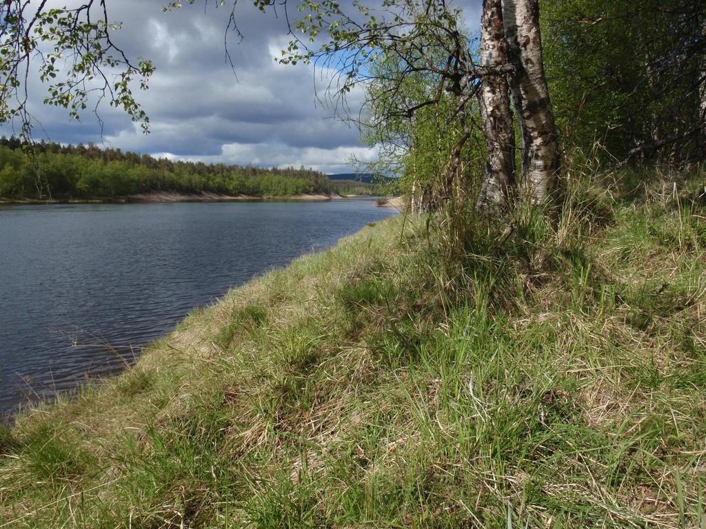 Akwé: Kon -toimintamalli Metsähallituksessa Akwé: Kon -ohjeiden käyttö sisältyy luontopalvelujen tulossopimuksiin pilotointi ja käyttöönotto Kehitetty Lapin luontopalvelujen ja metsätalouden