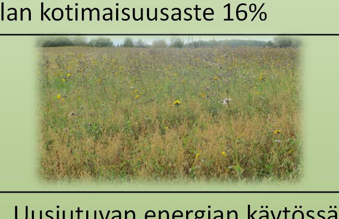 Jätteistä hyödynnämme vain noin kolmanneksen tavoitellun 50 % sijasta.