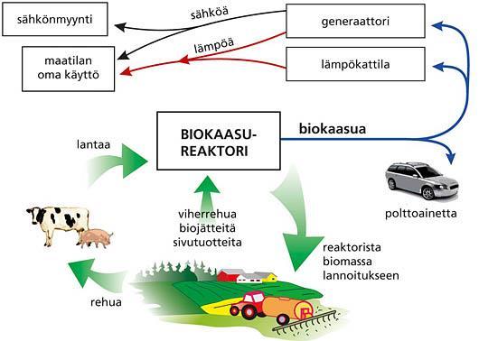 Biokaasun tuotantopotentiaali Suomessa on yli 30% kaasun nykykäytöstä.