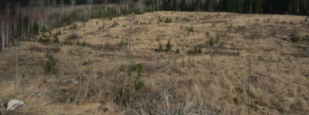 SIIRTOKUORMAUSASEMA, NURMIJÄRVI