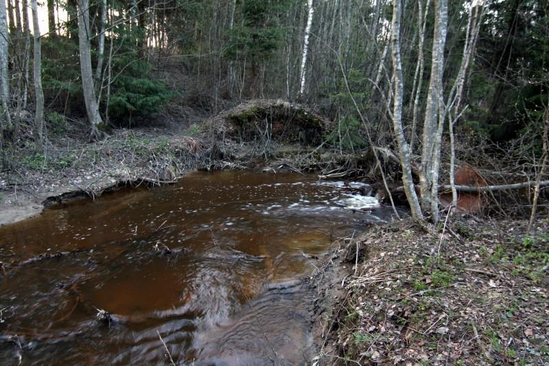 Rekolanoja latvahaaroineen: - Säilyttänyt laajoja luontoarvoja - Taimen palautettu istutusten avulla 1990- ja 2000luvuilla -Taimen lisääntyy vuosittain eri puolilla purovesistöä - Kutijoiden joukossa