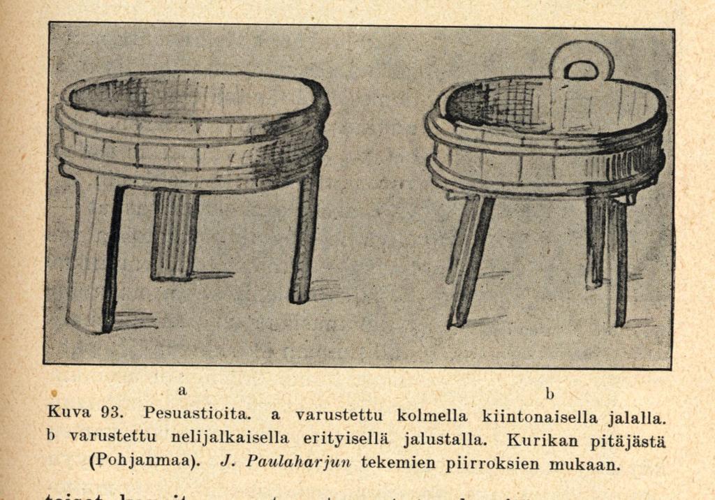 20 on oman astiaryhmänsä sisällä yleisistä piirteistä erottavia ominaispiirteitä. (Salo 1956, 74.