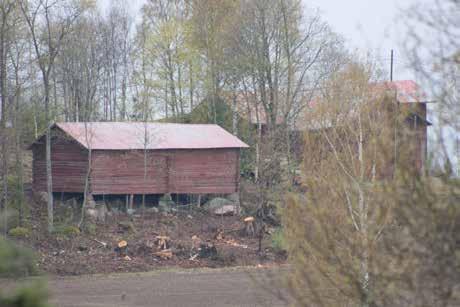 6E Mangsin punatiilinavettaa peittää villiviini. 6_E_mangsin_navetta_ IMG_0140.jpg. AV.