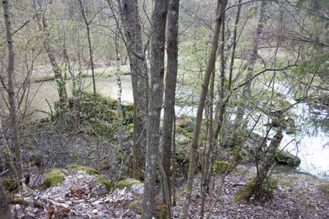 19_myllysuvanto_IMG_7419.