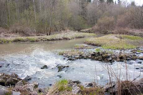 eteläreunalla. 19_myllykallio_IMG_7413.