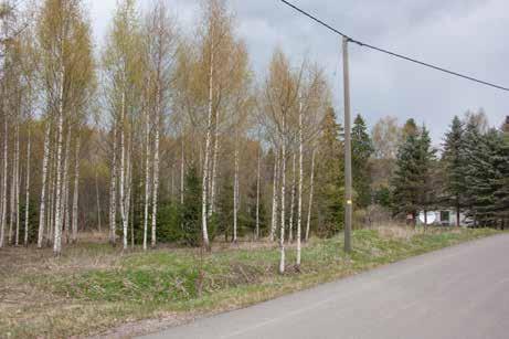 19_myllypelto_keski_vasen_IMG_7484.jpg. AV.