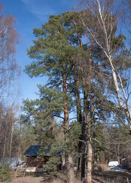 Tilan päärakennuksen iästä ei ole tarkkaa tietoa, mutta sen vanhin osa lienee 1800-luvun puolimaista.