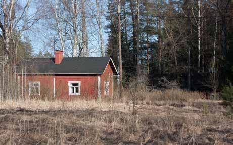 Pihapiiri on säilyttänyt kauniita piirteitä, mm. koivurivin ja hitaasti umpeenkasvavan niityn.