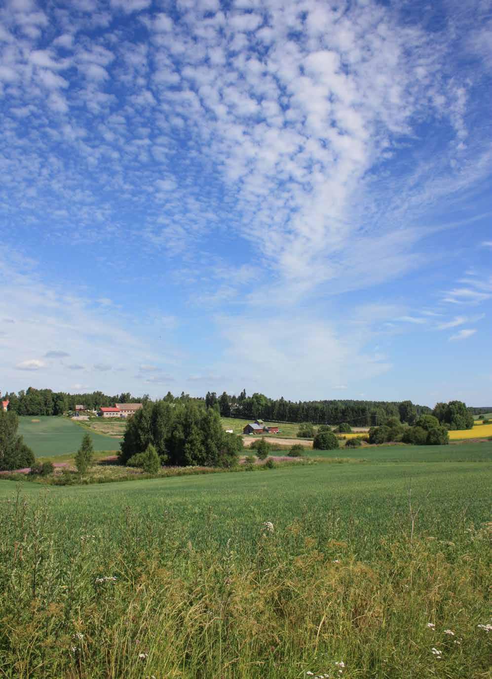 9 Tuusulanjokilaaksoa Övre-Gummin eteläpuolelta kuvattuna kohti