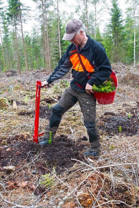 Do it Erik s way Meillä on maailmanlaajuinen projekti, jonka RI Presidentti Ian on meille antanut: Jokainen rotari istuttaa yhden puun.