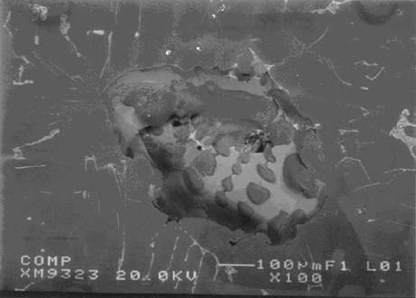 69 Shabestari ym. [149] mukaan Sr-seostuksen korottamisen myötä seosaineet jakautuvat tasaisemmin koko kappaleeseen.