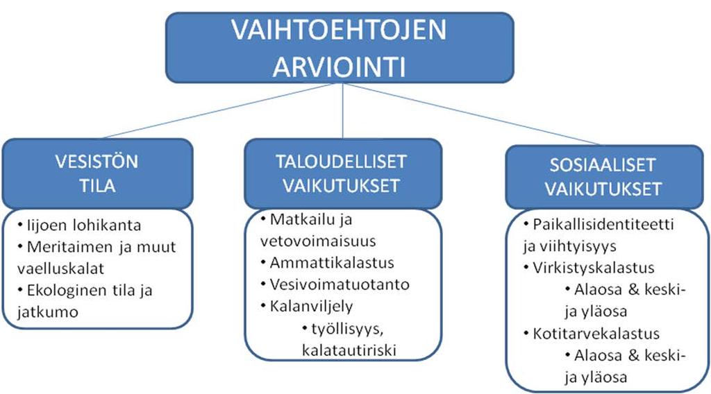 Vaihtoehtojen arvioinnissa