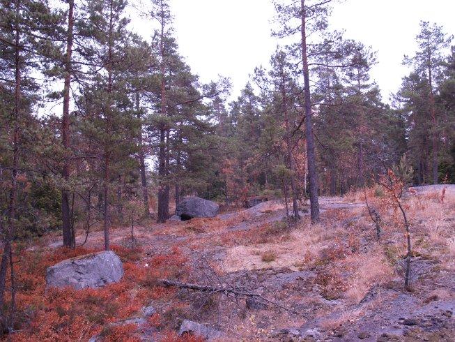 keskus - Kaukalahti luonnon- ja maisemanhoitosuunnitelma 2004-2034 Pohjois-Leppävaara -