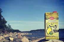 pitahayaa (suomeksi lohikäärmehedelmä)