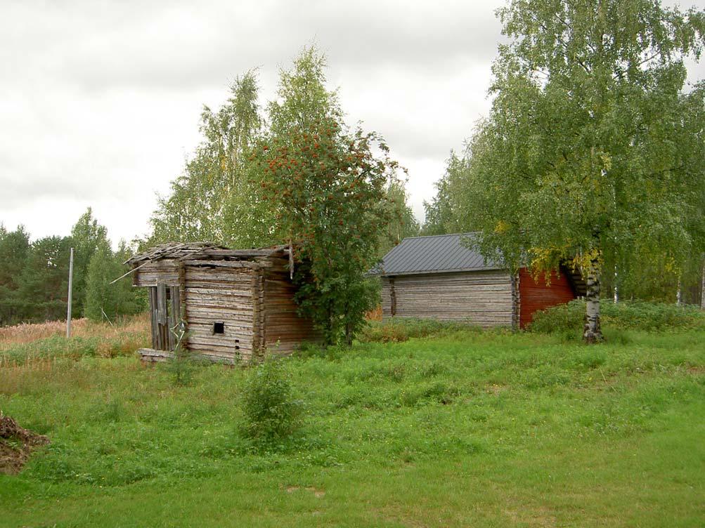 Seitap Oy Rovaniemi 8 3.2 Rakennettu ympäristö. Jokilammen luoteisrannalla on tilan vanha asuinkenttä, jossa on jäljellä ulkorakennusta ja näkyvillä vielä päärakennuksen perustukset.
