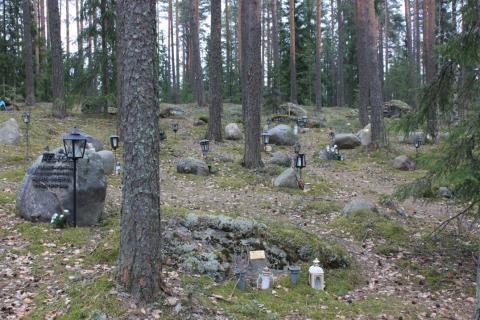 Uurnahauta-alueita on myös luonnontilaisina metsämaan peittäessä hauta-aluetta, kuten kuvassa 4 Lahden Levon hautausmaan veteraanilehdossa. Kuva 4.