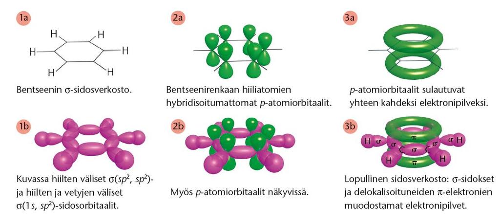 yhteen muodostaen koko ekyylin yli menevän sidoksen,