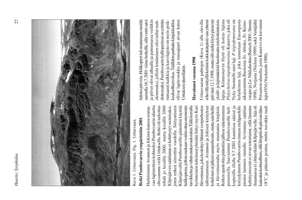 Haarto: Syrphidae 27 Kuva l. Urttasvaara. Fig. l. Urttasvaara. Retki Pumbovarrin ympäristöön 2ü)1 Harkitsimme Avannon ja Jokisen kanssa seuraavan lapinretken kohteeksi Pumbovarrin aluetta ollessamme vielä Urttaksella.